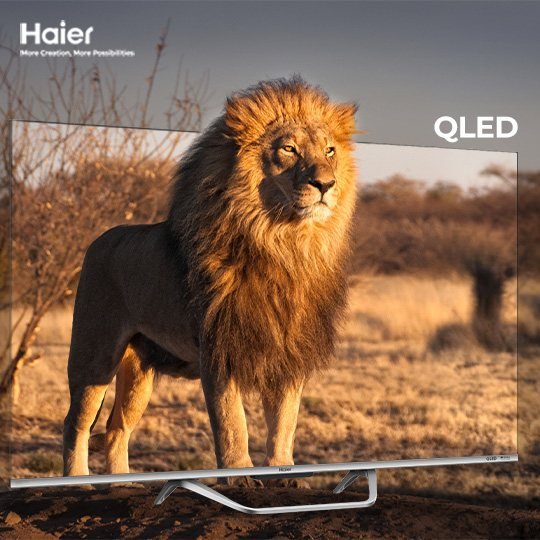 Haier 65S80/81EUX LED TV available in Pakistan at ZippKart