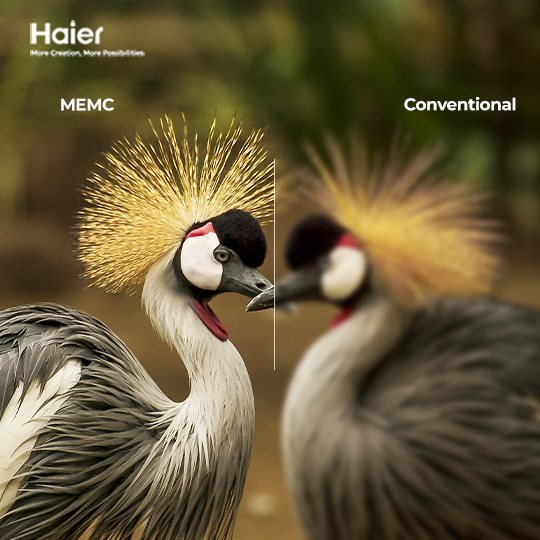 Haier 75S80/81EUX LED TV available in Pakistan at ZippKart